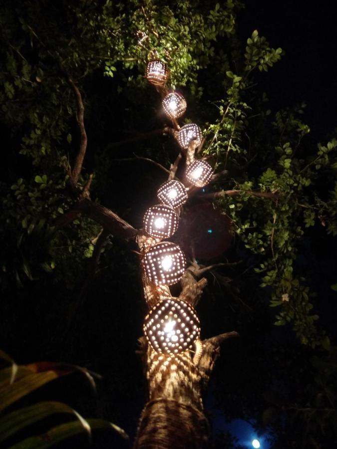 Homestays 卢迪亚纳 外观 照片